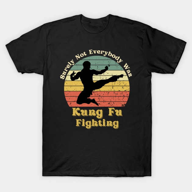 Surely Not Everybody Was Kung Fu Fighting T-Shirt by ZIan23